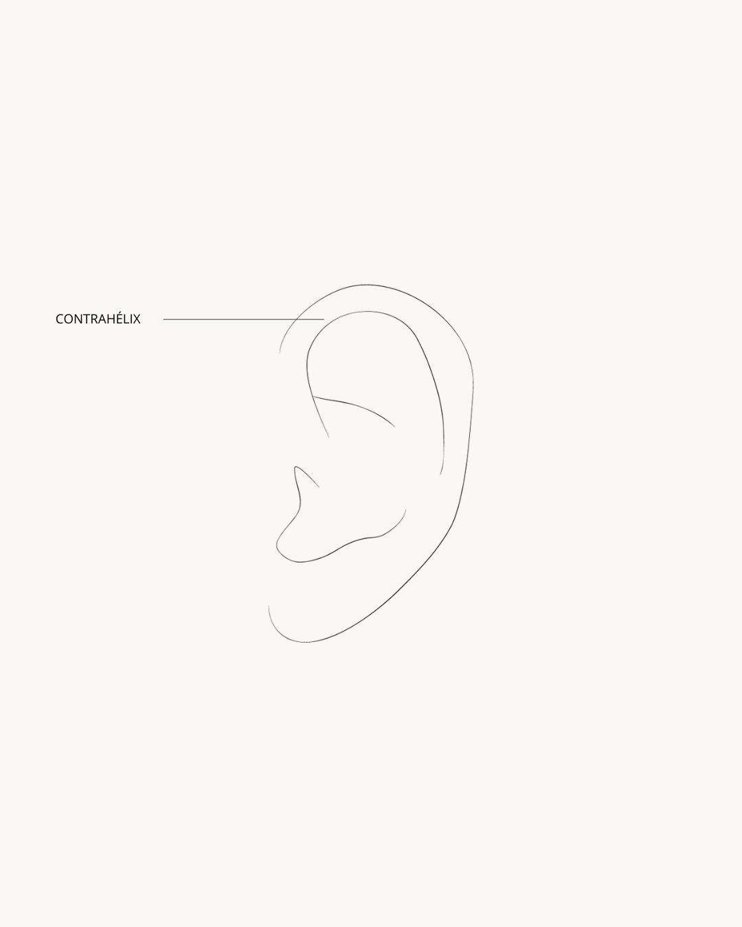 Piercings Contrahélix