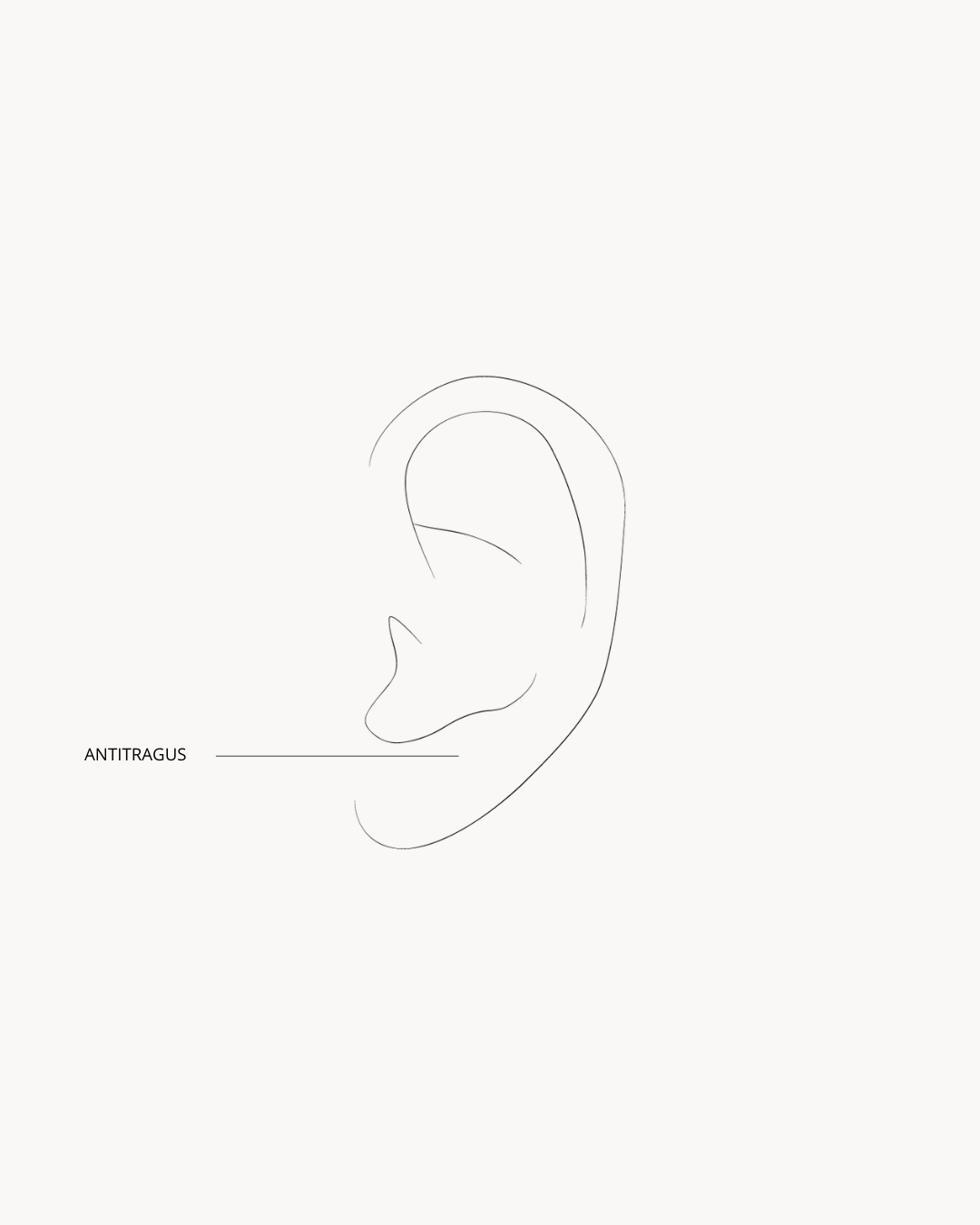 Piercings Antitragus