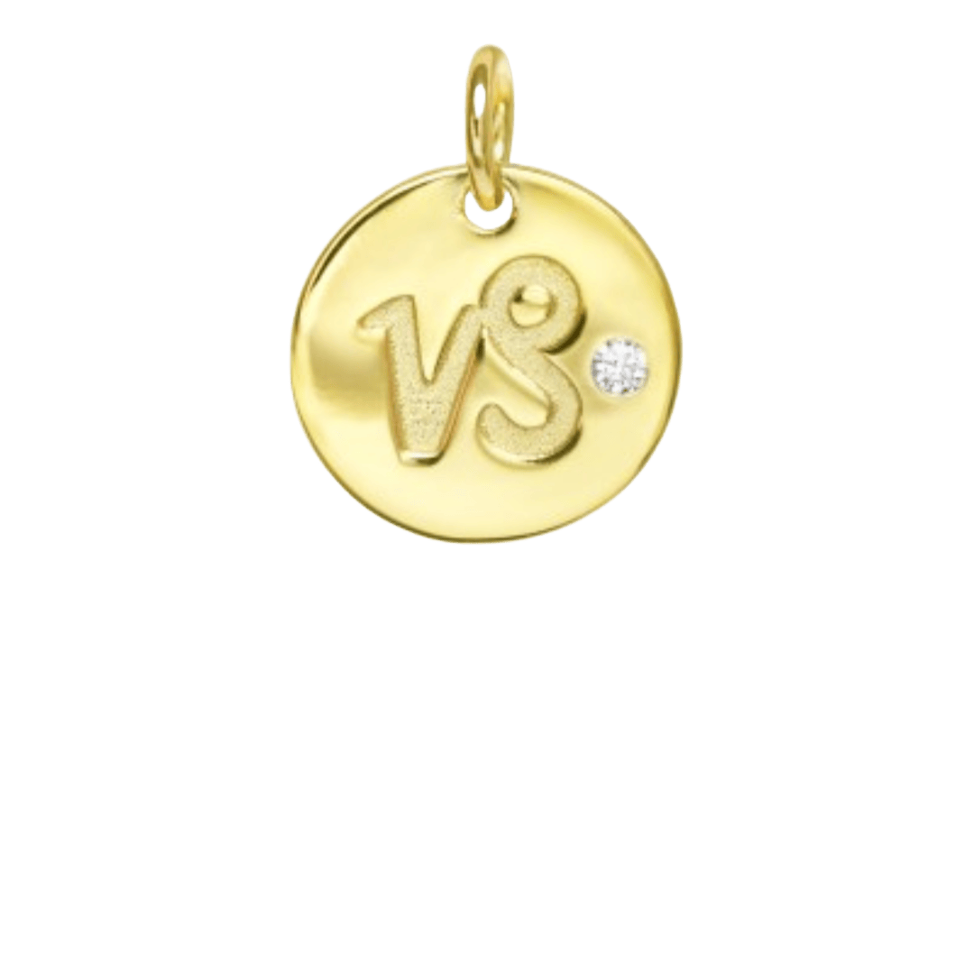 heylove CHARMS PARA SEDAS Charms zodiaco para sedas