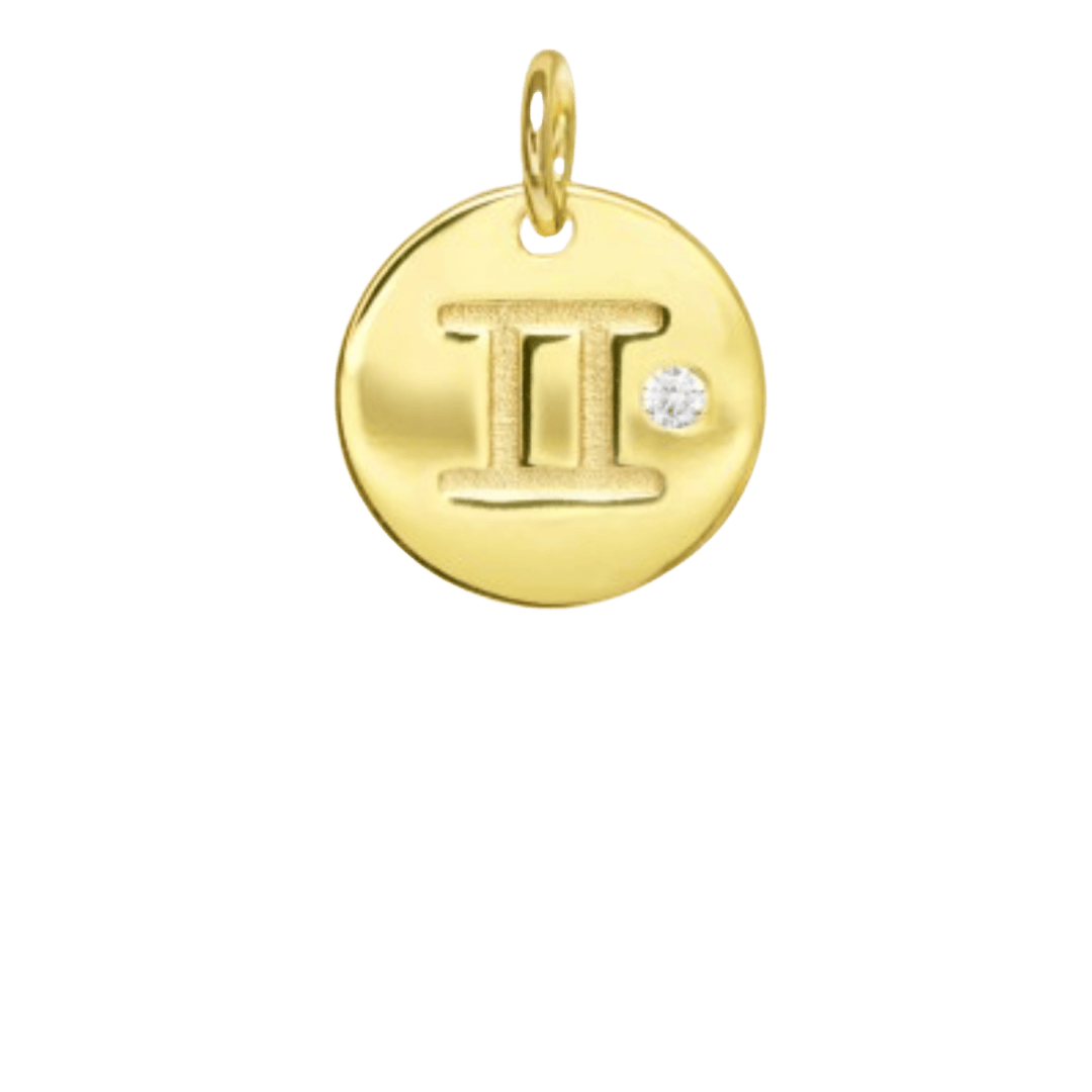 heylove CHARMS PARA SEDAS Charms zodiaco para sedas