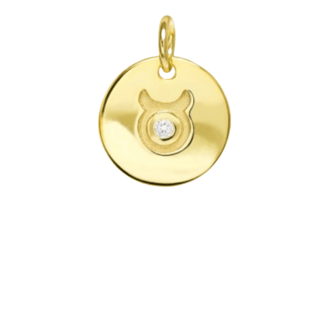 heylove CHARMS PARA SEDAS Charms zodiaco para sedas