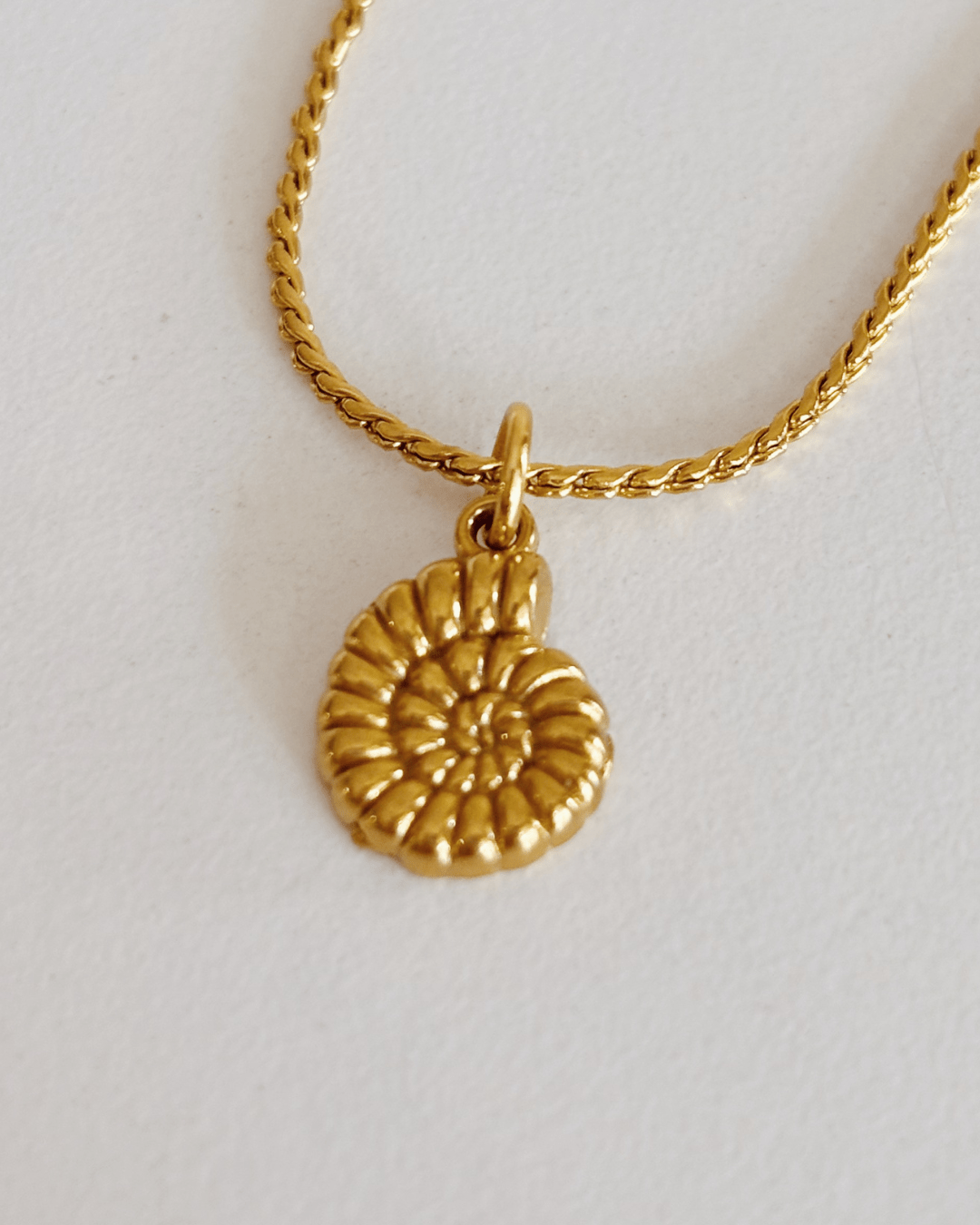 heylove COLLARES COLLAR CARACOLA MINI