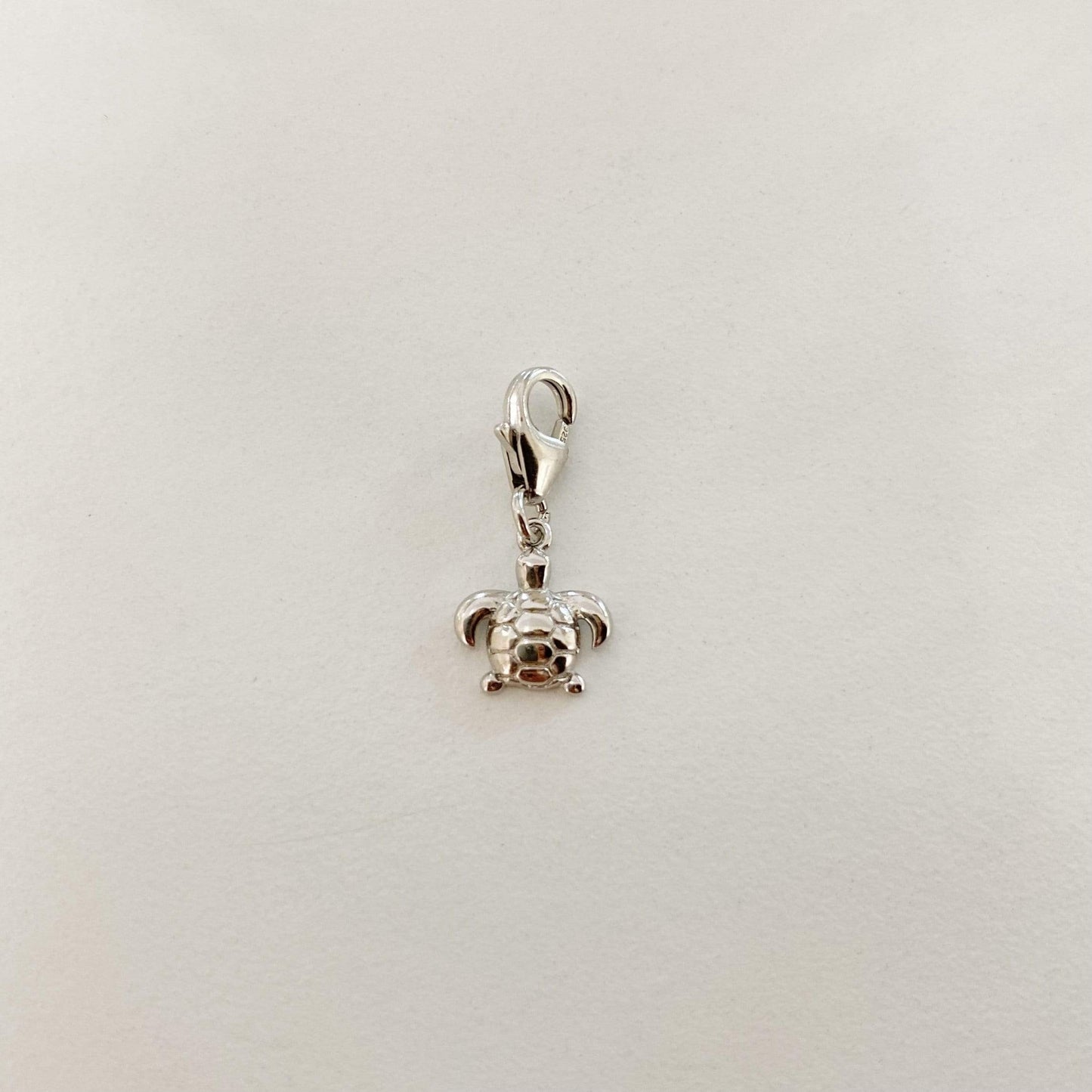 CHARMheyloveCharm turtle | heylove