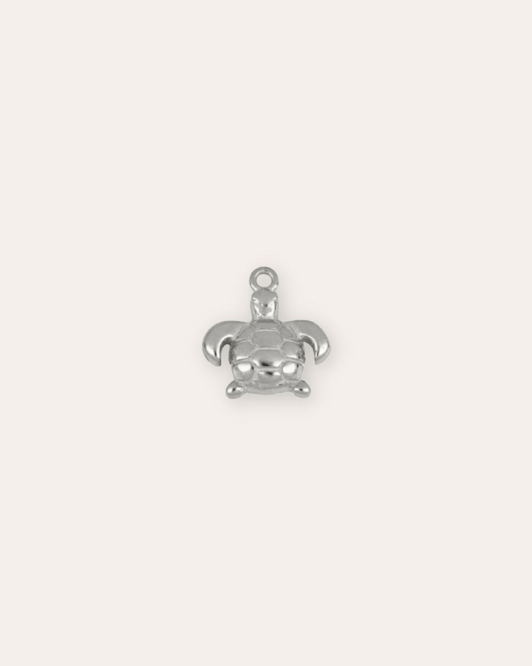 CHARMheyloveCharm turtle | heylove