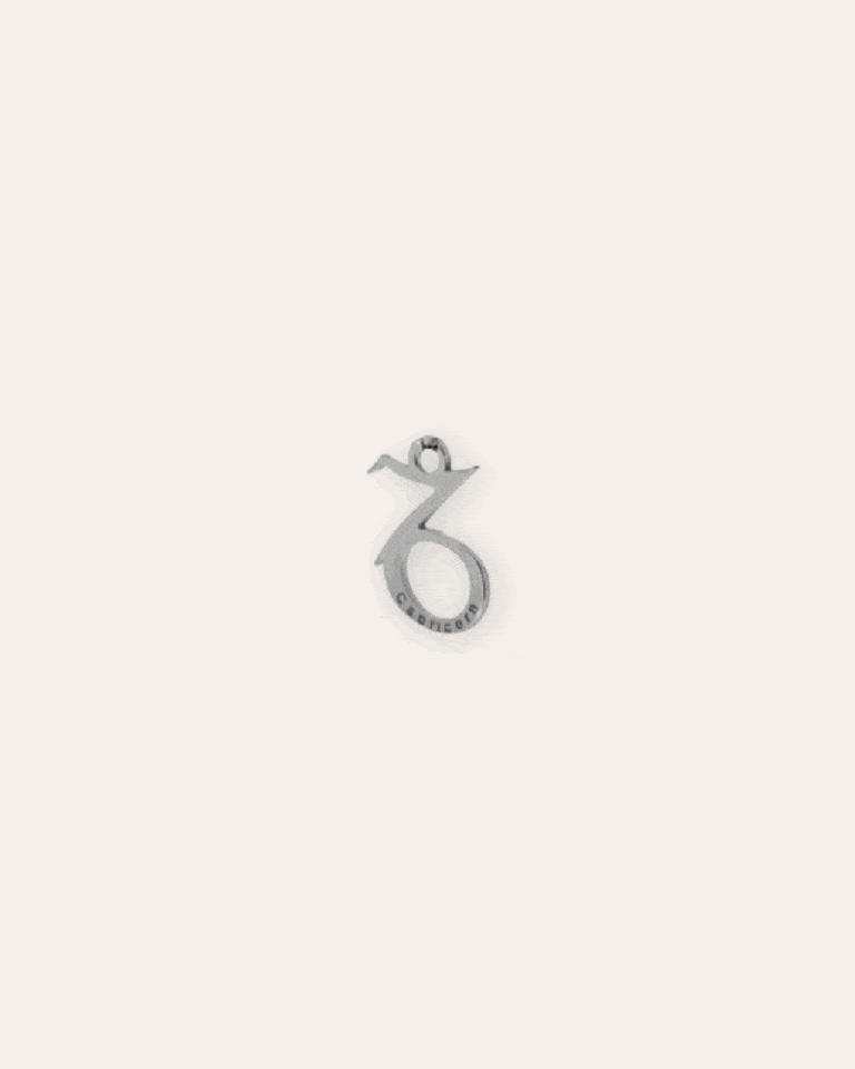 CHARMheyloveCharms zodiaco | heylove
