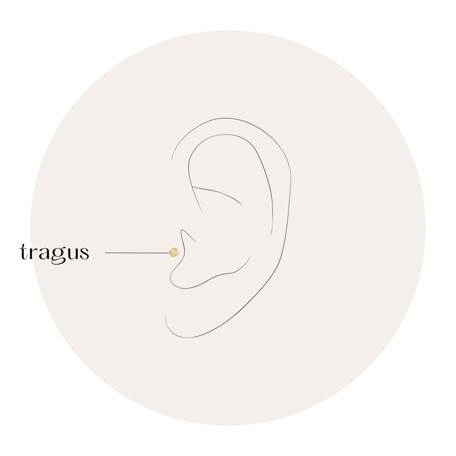 Piercings Tragus