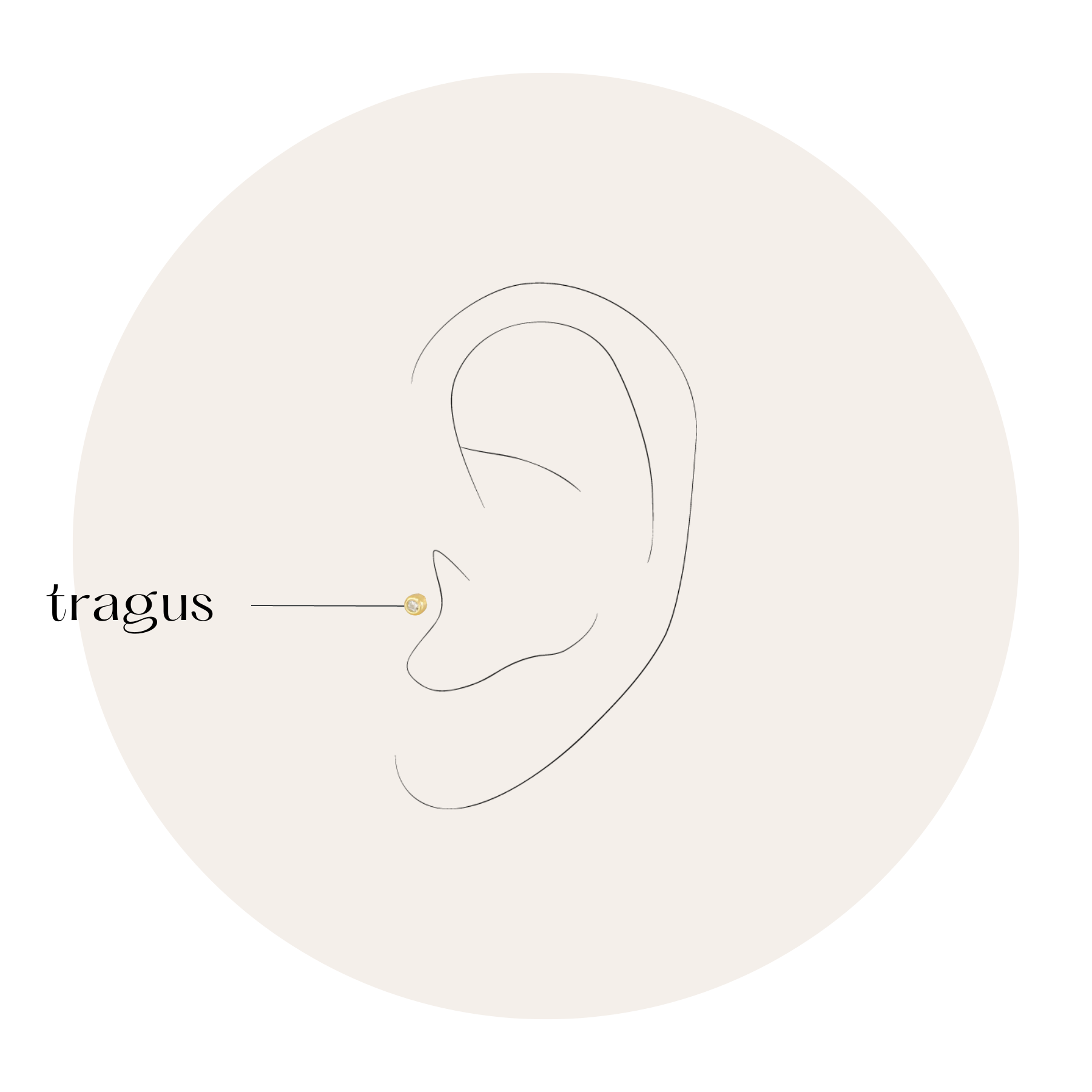 Piercings Tragus