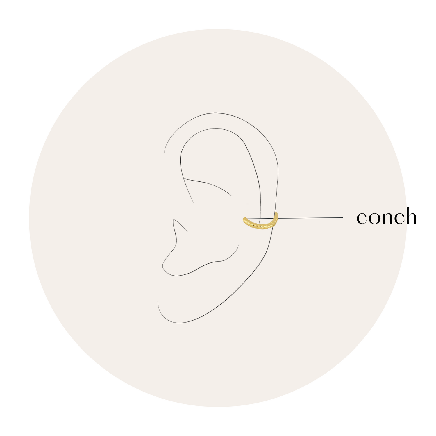 Piercings Conch