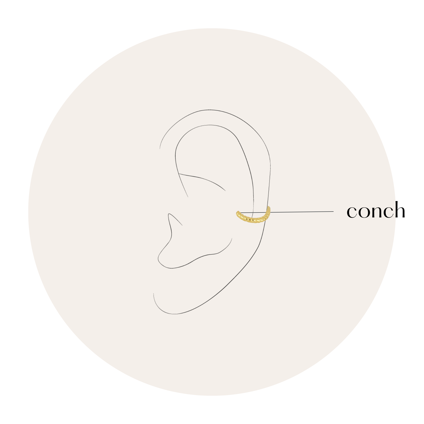 Piercings Conch