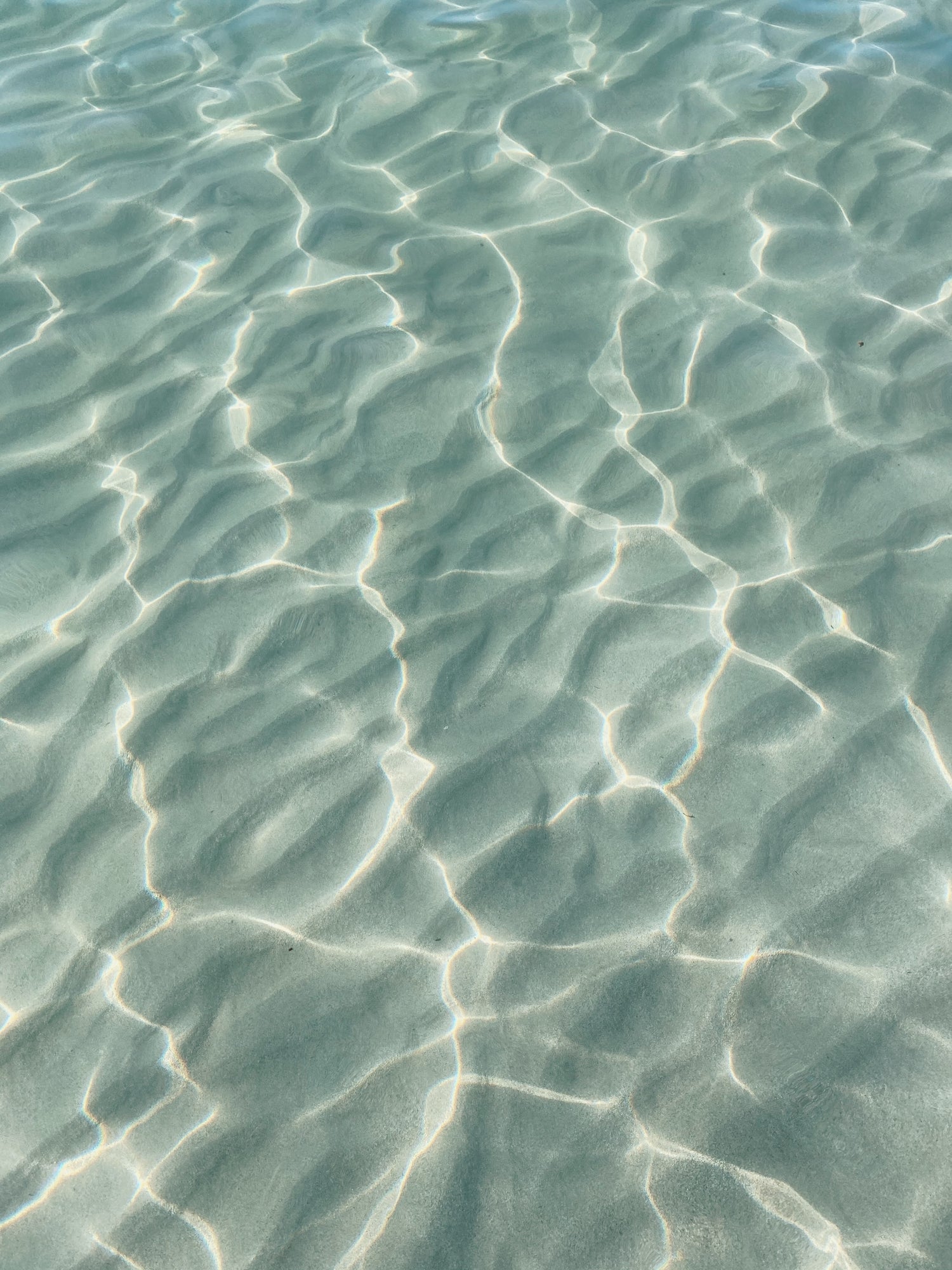 I'TS ALWAYS SUMMER SOMEWHERE
