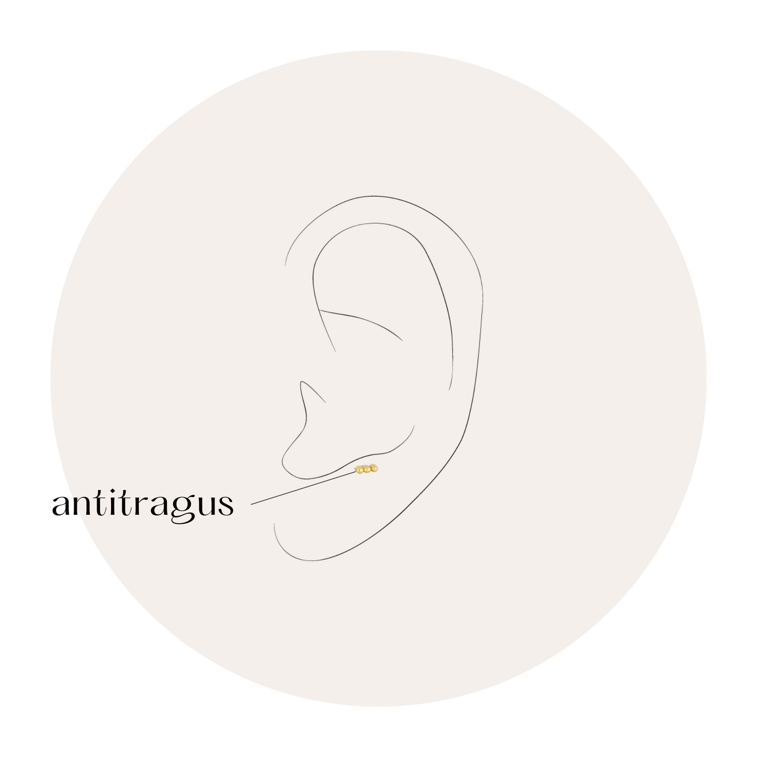 Piercings Antitragus