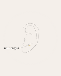 Antitragus