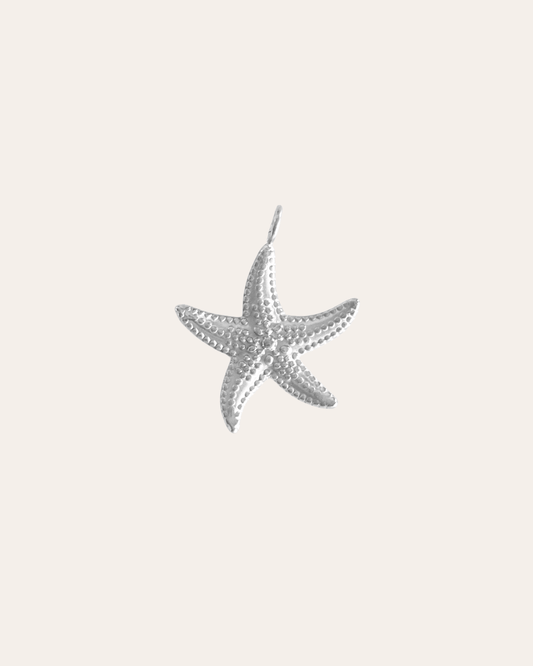 heylove CHARM ACERO CHARM ESTRELLA ACERO