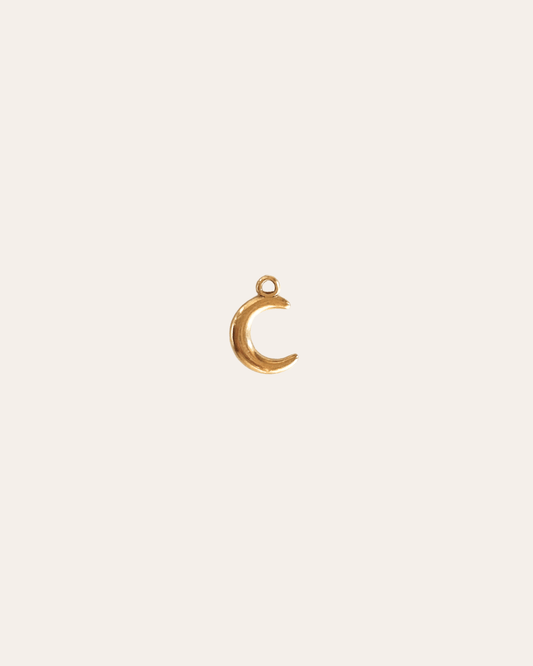 heylove CHARM ACERO CHARM LUNITA ACERO