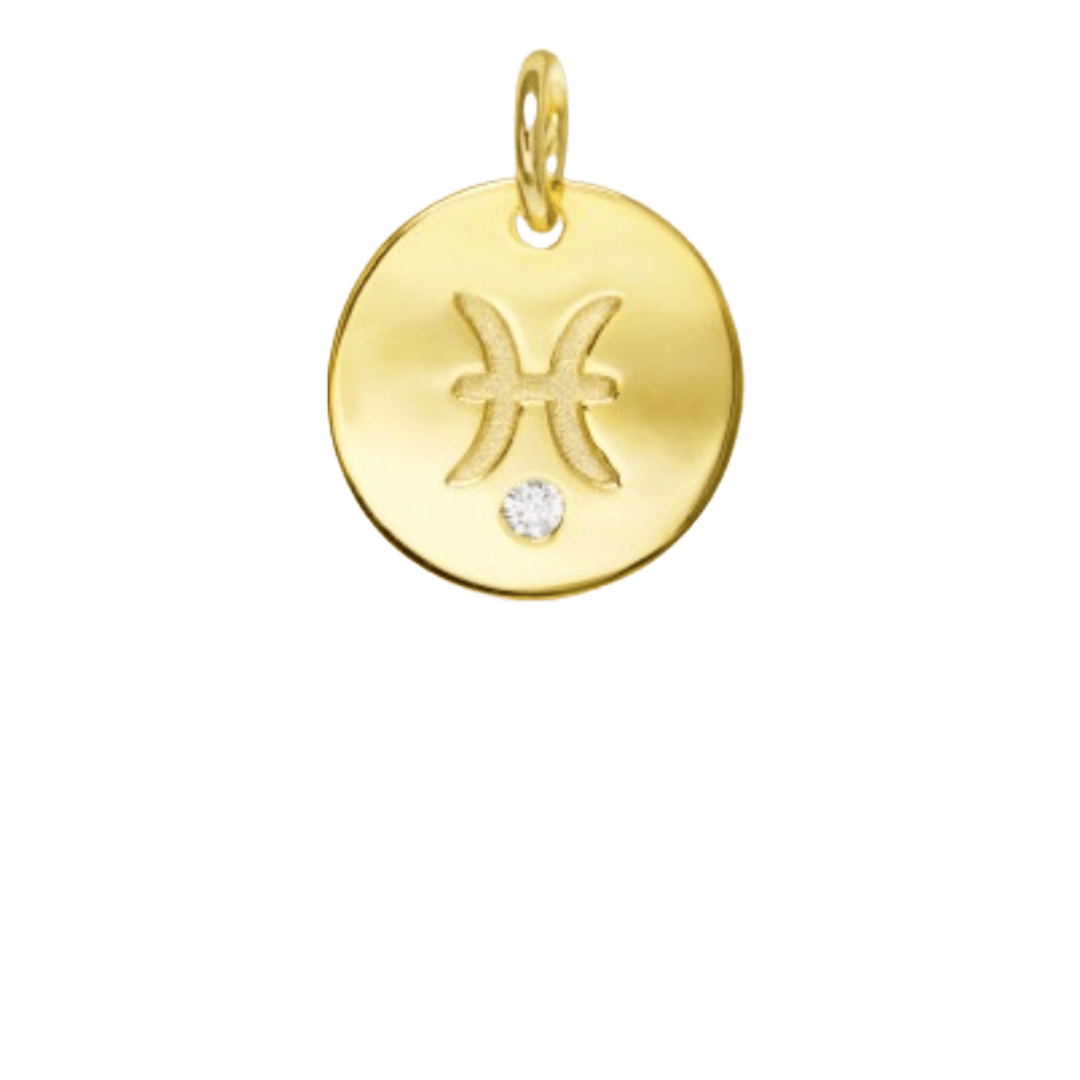 heylove CHARMS PARA SEDAS Charms zodiaco para sedas