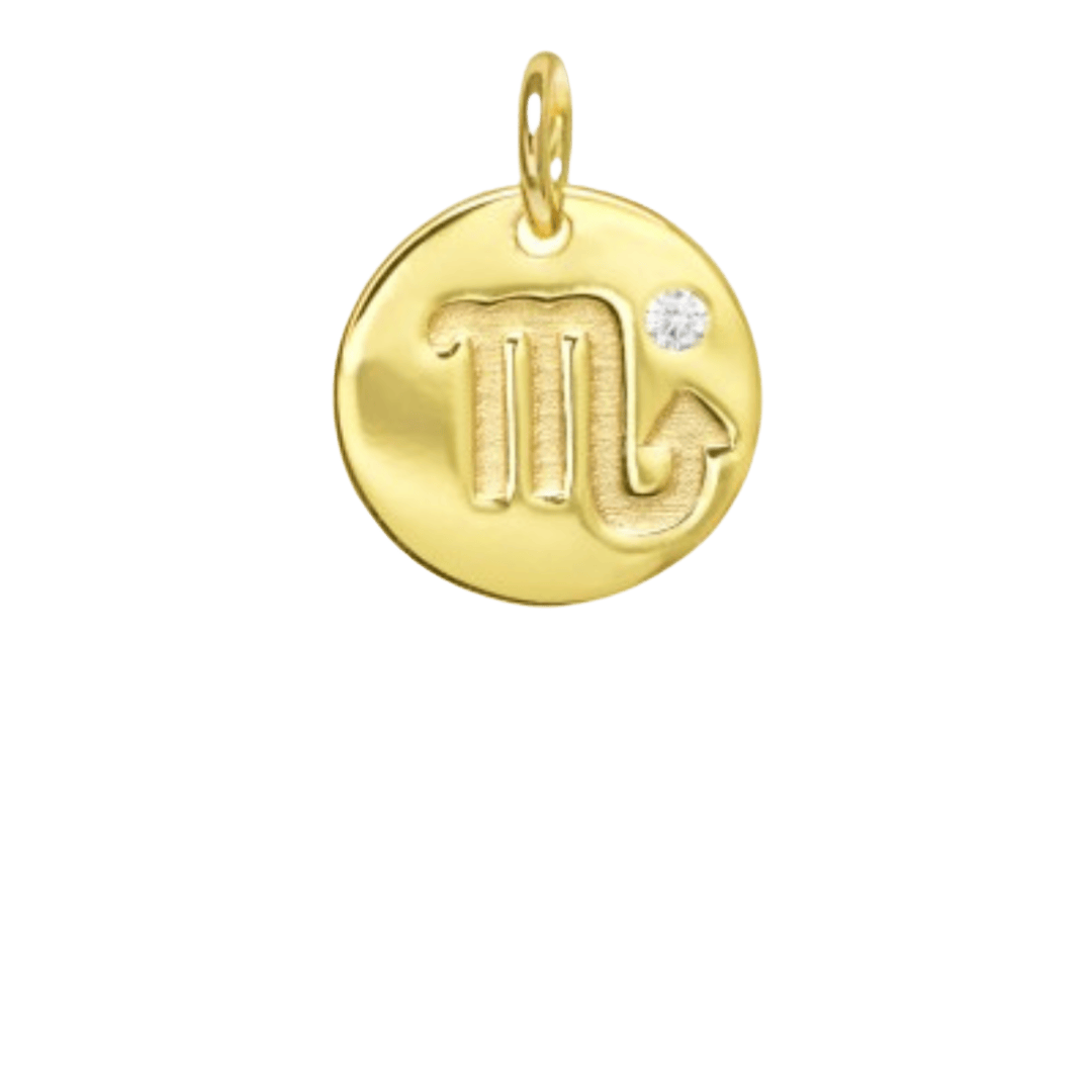 heylove CHARMS PARA SEDAS Charms zodiaco para sedas
