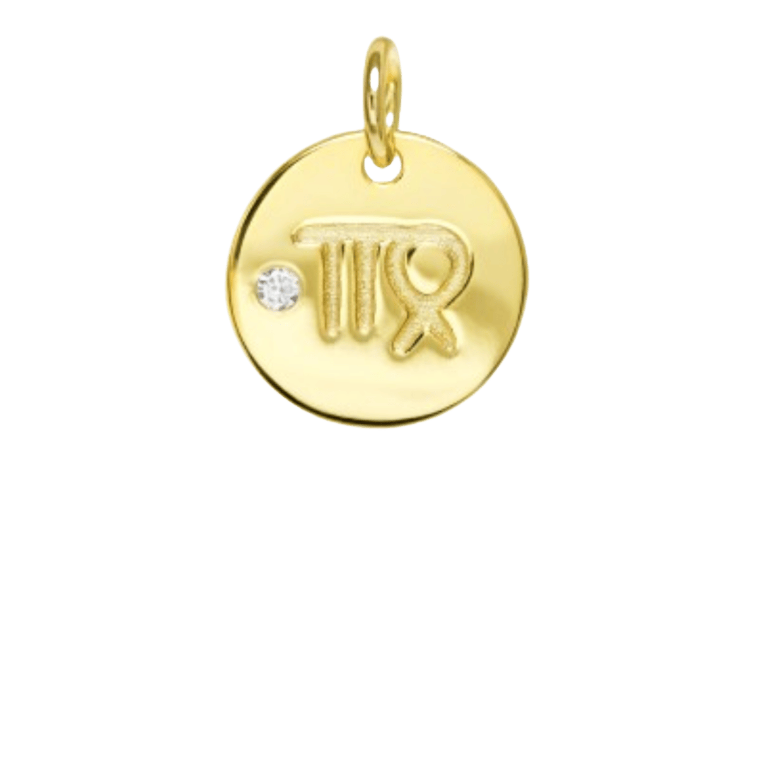 heylove CHARMS PARA SEDAS Charms zodiaco para sedas