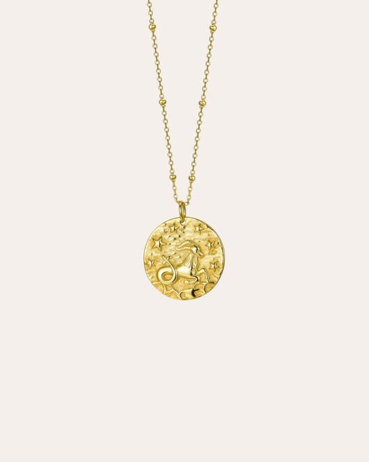 heylove COLLARES COLLAR DAZZLING CAPRICORNIO