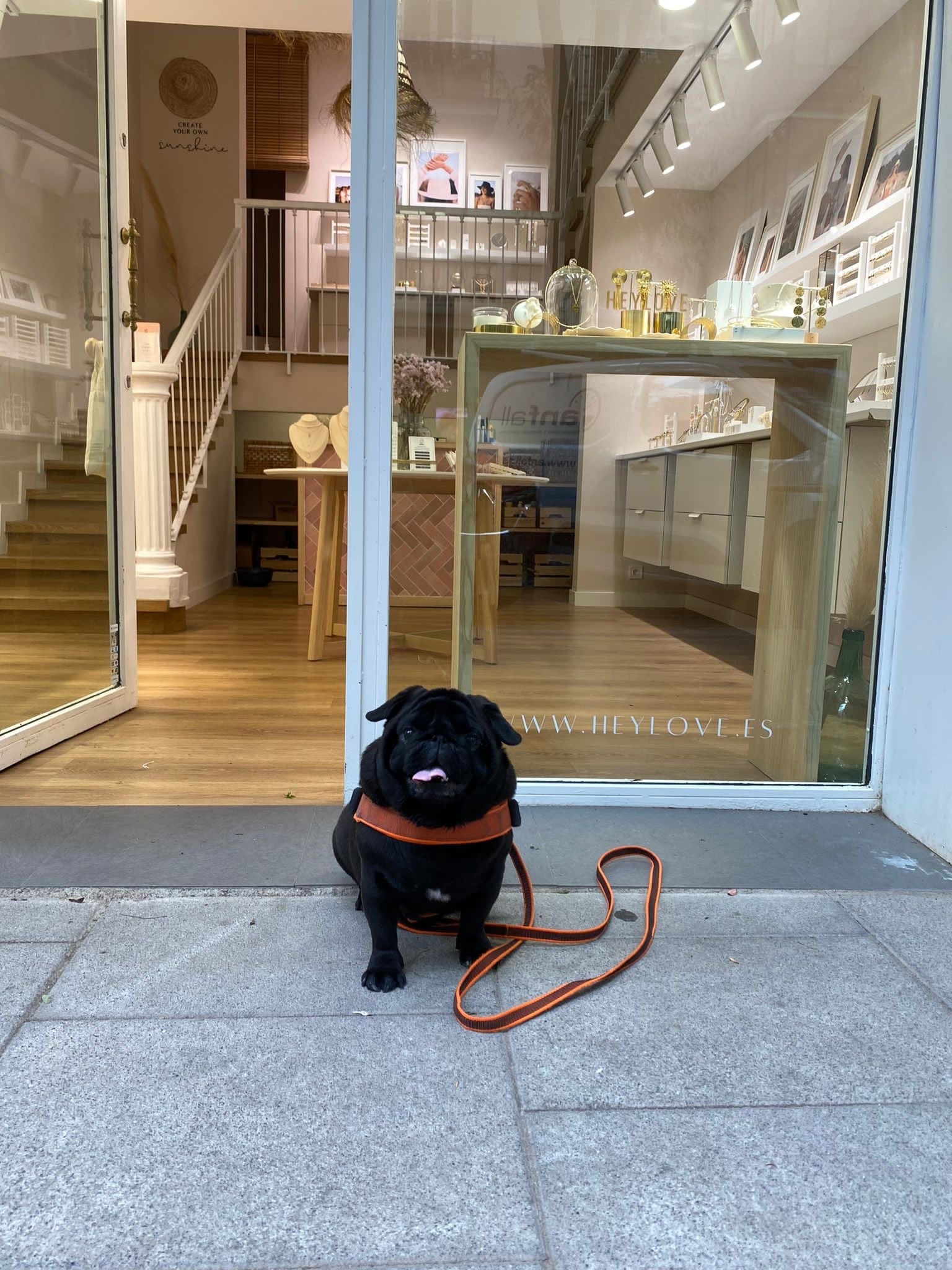 heylove COLLARES COLLAR DOG MOM