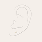 heylovePendiente de perforación ABRIL CRISTAL 2 MM ORO