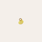 CHARMheyloveInicial de plata bañada en oro | heylove