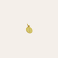 CHARMheyloveInicial de plata bañada en oro | heylove