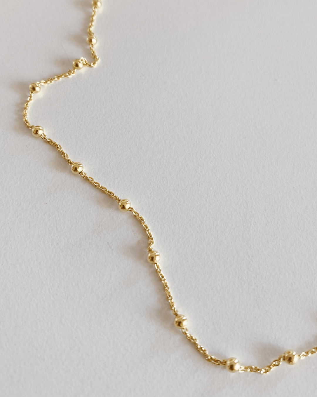 COLLARESheyloveCollar adventure | heylove