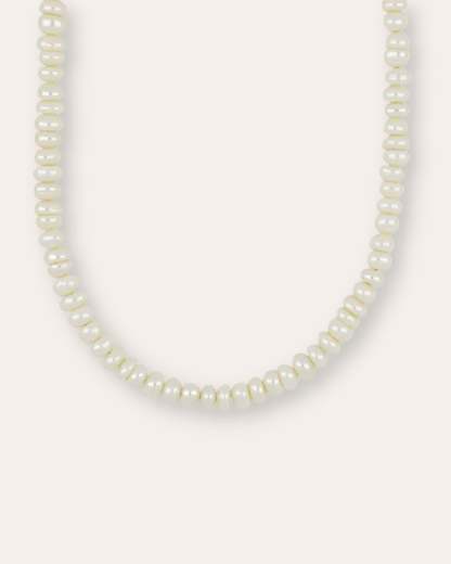 COLLARESheyloveCollar Sunday | heylove
