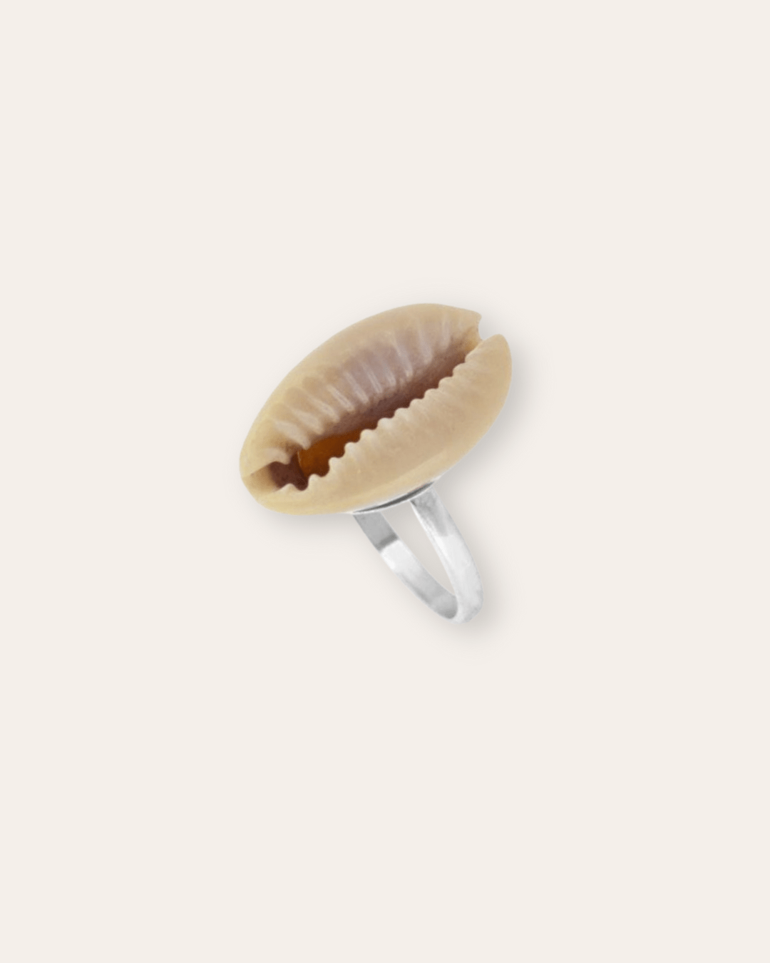 LAST CHANCEheyloveAnillo concha blanca | heylove