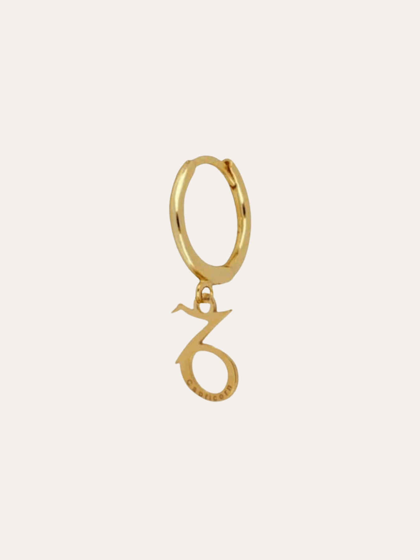 PENDIENTESheyloveMini hoops zodiaco | heylove