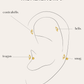 PENDIENTESheylovePiercing curvy | heylove