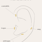 PENDIENTESheylovePiercing etcetera | heylove