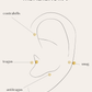 PENDIENTESheylovePiercing point | heylove