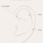 PIERCINGheylovePiercing tiny feather | heylove